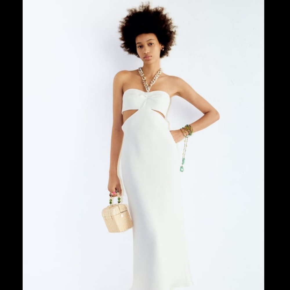 Zara dress
